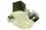 Three Lustrous, Natural Pyrite Cubes in Rock - Navajun, Spain #168533-1